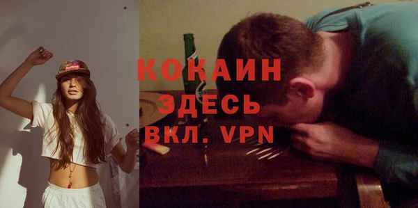 ГАЛЛЮЦИНОГЕННЫЕ ГРИБЫ Липки