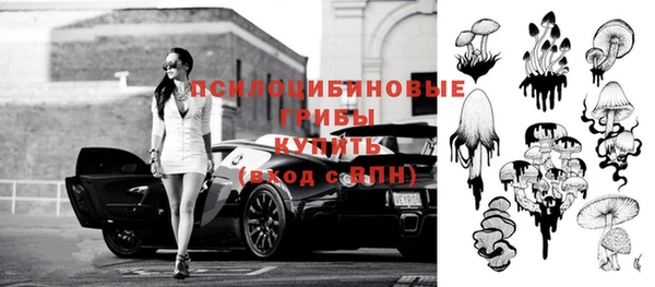 ГАЛЛЮЦИНОГЕННЫЕ ГРИБЫ Липки