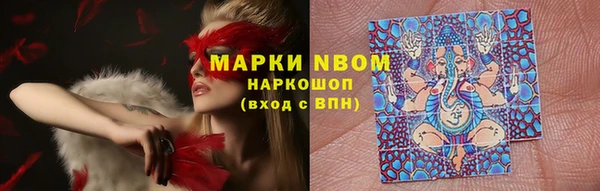 стаф Новочеркасск