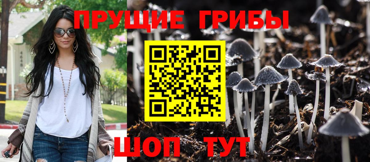 наркотики  Псилоцибиновые грибы MAGIC MUSHROOMS  Курск  Вход с VPN  Галлюциногенные грибы прущие грибы 