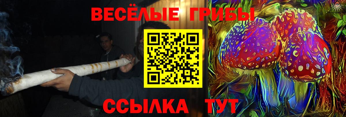 Галлюциногенные грибы Cubensis Курск